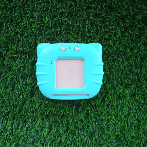 Talking Flash Card Reader